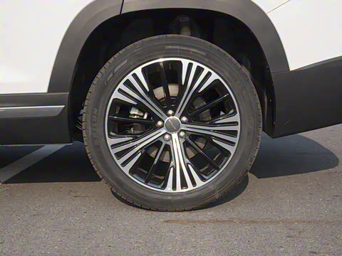 2023�� 1.6T DCT������ 7��