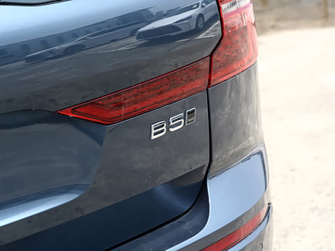 2026�� B5 �������ݺ�����