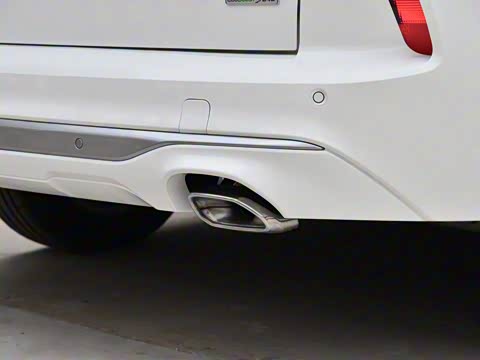 2020�� EcoBoost 245 ����������