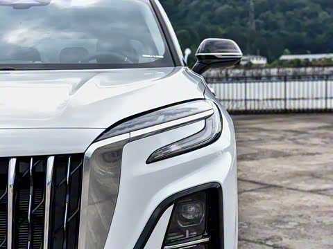 2025�� 117km ��ΪPLUS��