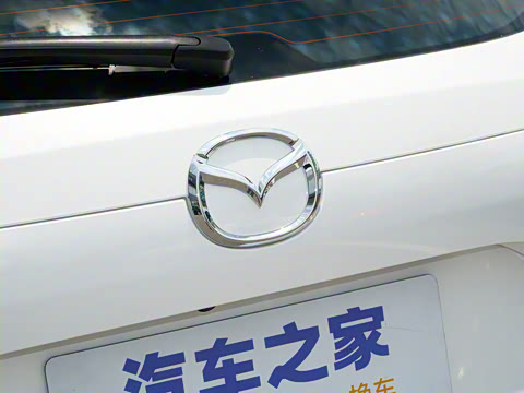 2025�� 2.0L �Զ���������Pro