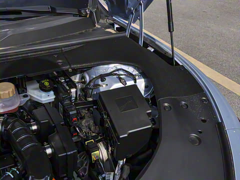 2025�� 235���� ������