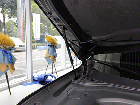 2021�� EcoBoost 225 ������ 6��