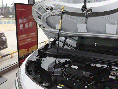 2025�� ������������ʿPRO��