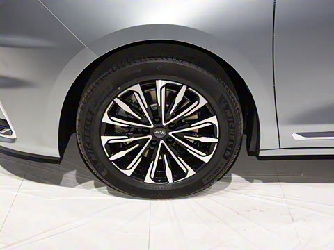 2024�� ���ɰ� 2.0T �콢��