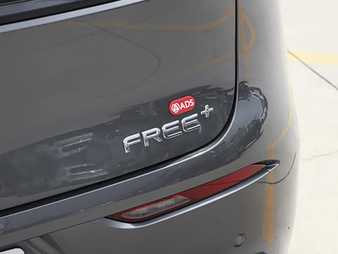 2025�� FREE+ ����Ǭ����