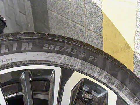 2026�� �������̳����