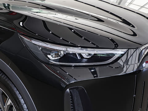 2025�� 120 �������������� 5�� ��Ԫ�