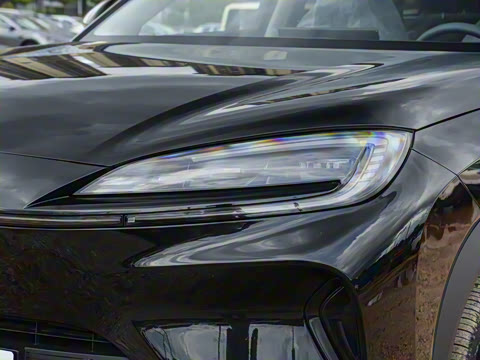 2025�� 135 �����ܼ����״��