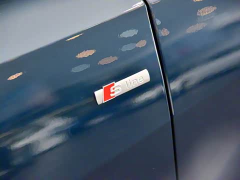 2019�� 55 TFSI ��ѡ������