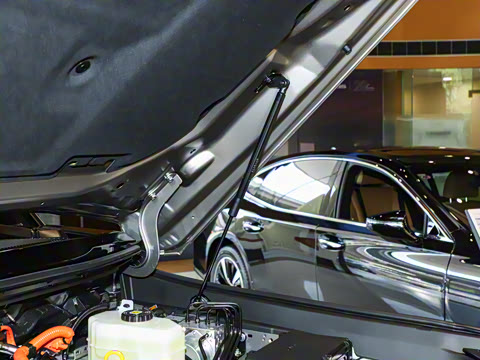 2024�� OVERTRAIL Զ���