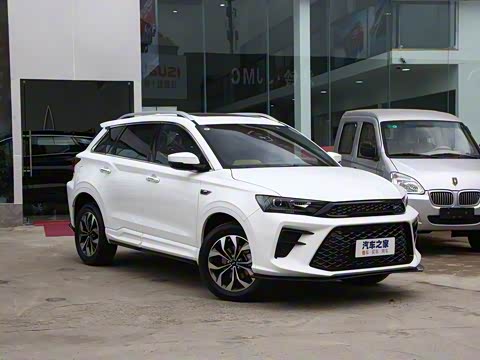 2019�� F�� 1.5T �Զ����۰� ��VI