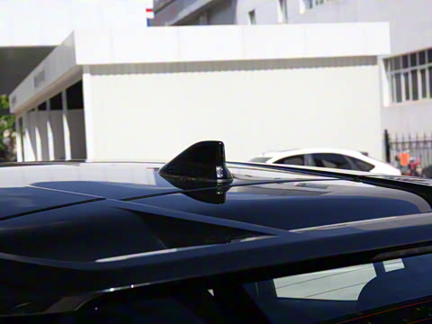 2021�� ˫�� 2.0L ������