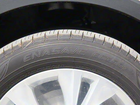 2021�� ˫�� 2.0L ������