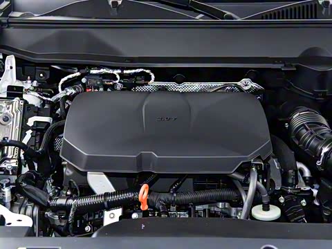 2025�� 2.0T 4WD Pro