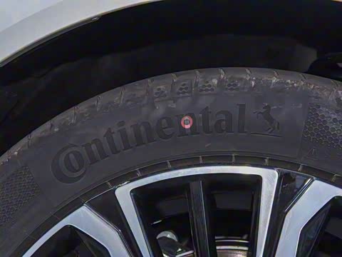 2026�� �������̼�����