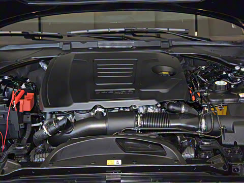 2021�� XFL 2.0T P300 �����콢�˶���