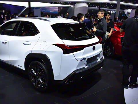 2019�� 260h F SPORT�� ��VI