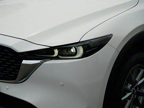 2025�� 2.0L �Զ���������Pro