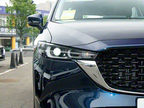 2025�� 2.0L �Զ�����������