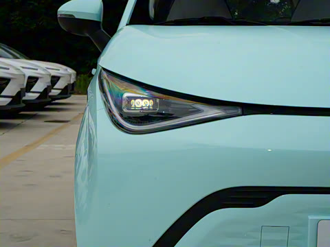 2025�� 305km ������