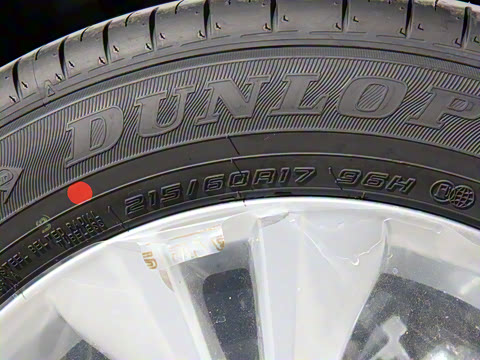 2021�� ˫�� 2.0L ������