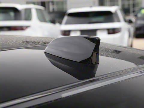 2021�� XFL 2.0T P250 �����׺��˶���