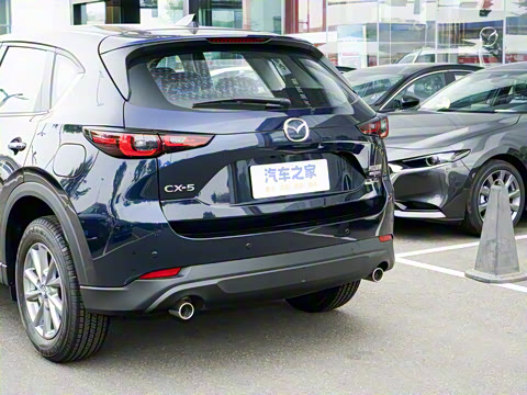 2025�� 2.0L �Զ�����������