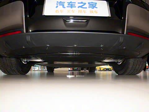 2025�� ������������������Max��