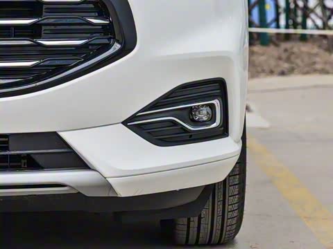 2020�� EcoBoost 245 ����������