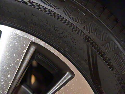 2019�� 30T ������������Ⱥ�콢��