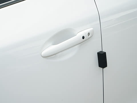 2025�� 2.0L �Զ���������Pro