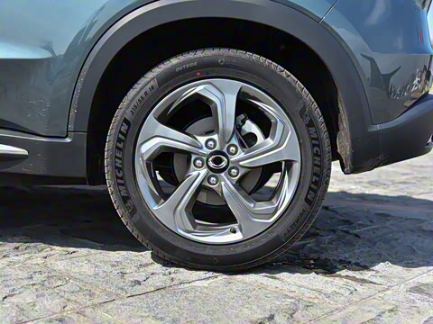 2021�� ���ݰ�