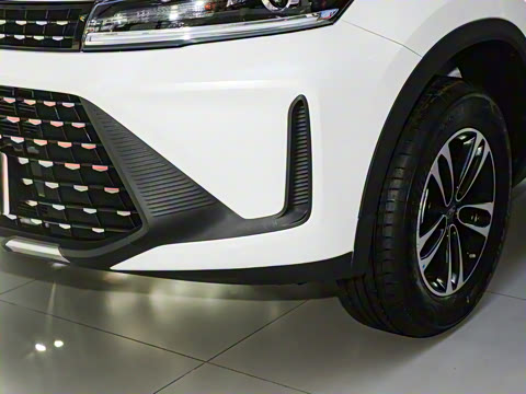 2025�� 1.5L �ֶ����ʰ�