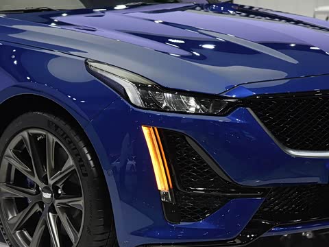 2020�� 28T �����˶���