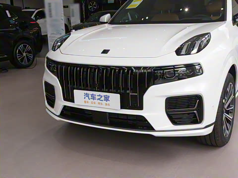 2025�� 2.0TD EM-P ����Max ����