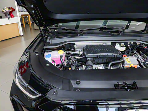 2025�� 120 �������������� 5�� ��Ԫ�