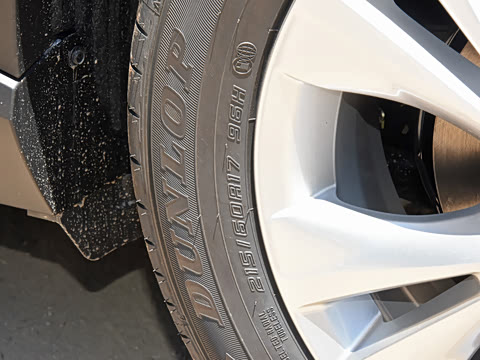 2021�� ˫�� 2.0L ������