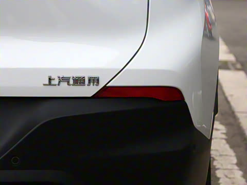 2021�� 325T �Զ����� ��VI