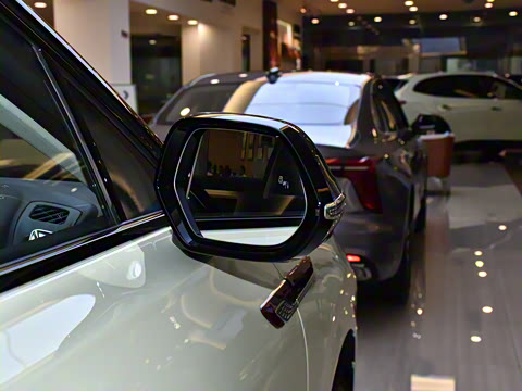 2025�� 117km ��ΪPLUS��