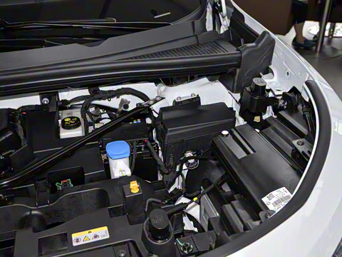 2021�� Pro ���ǳ�������