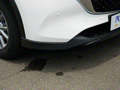 2025�� 2.0L �Զ���������Pro