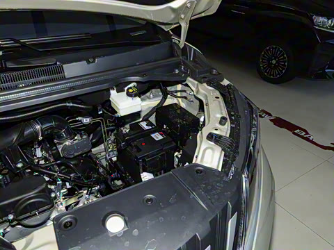 2025�� 1.6L �ֶ����������� 5��