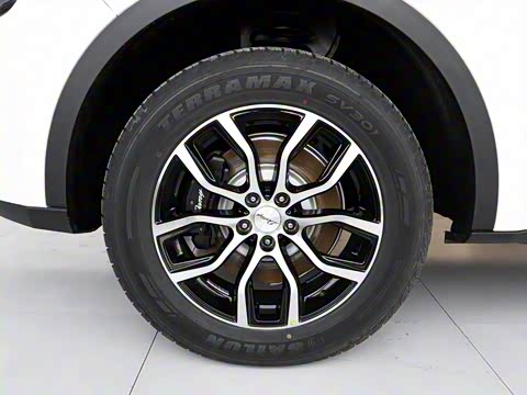 2017�� �Ͻ��� 1.5T �ֶ�®ɽ��