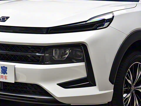 2021�� 300T DCT���������