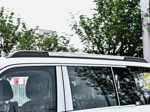 2025�� 2.0T 4WD Pro