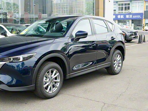 2025�� 2.0L �Զ�����������