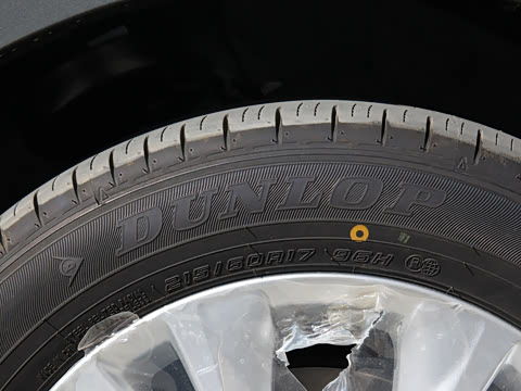 2021�� ˫�� 2.0L ������