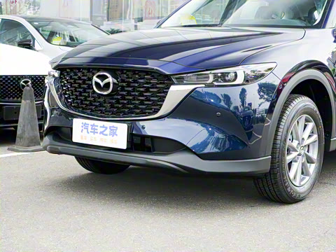 2025�� 2.0L �Զ�����������