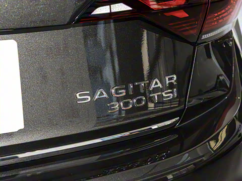 2025�� �Ŀ�� 300TSI DSG׿Խ��